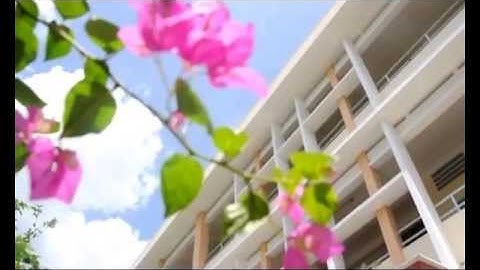 ĐẠI HÀNH TINH 9/1 THCS NGUYỄN TRƯỜNG TỘ OFFICIAL VIDEO PART 2