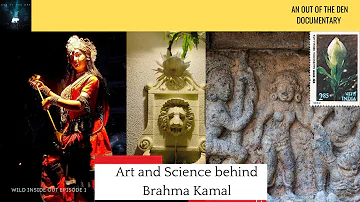 Brahma Kamal in Mahabharata with Physics | Ma Durga's favourite flower | Draupadi's revenge