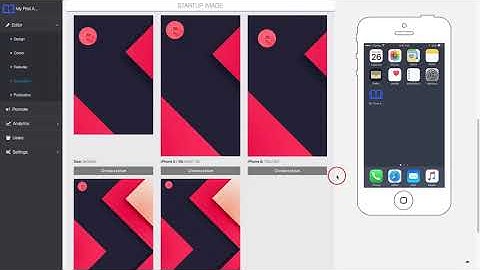 Editor Overview - Application Tab