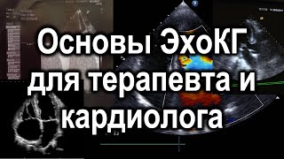 Основы ЭхоКГ для терапевта и кардиолога