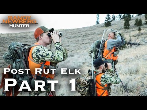 2018-montana-post-rut-elk-hunt-with-randy-newberg-(part-1)