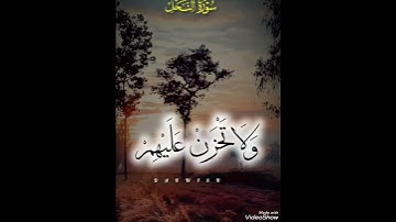 القران الكريم 🌹🌹اللهم صل وسلم على نبينا محمد وعلى آله وصحبه أجمعين 🌹🌹
