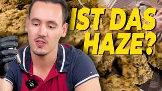 Avaay Amnesia Haze Cake German Strain Review