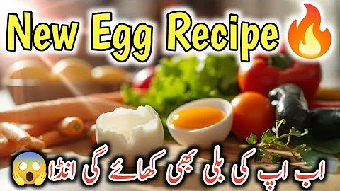 Video 7736951: persiancat persians, persian cat food, persiancat catfood, cat kitten food, healthy cat food