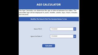 Age Calculator App In Power Apps screenshot 3