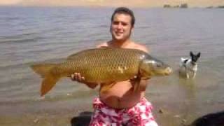 Carpfishing En Orellana Agosto 2010