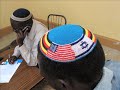 Rabbi, Run