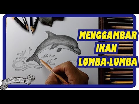  Cara menggambar ikan lumba lumba dengan pensil YouTube