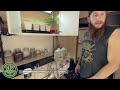 How to Make Microbe Tea for Cannabis Plants -ORGANIC COMPOST TEA GUIDE -Cannabis Training University