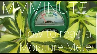Merlot Mama Minute How To Read A Moisture Meter