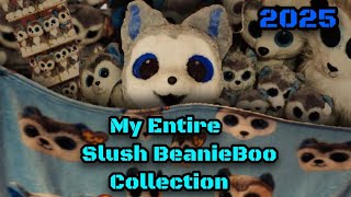 My Entire Slush Collection 2025 || The Hyperfixation Is Real! 🐺🧠