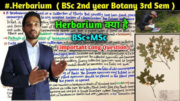 What Is herbarium || Method of Preparation of Herbarium Specimen || BSc 2nd Year Botany 3rd Semester