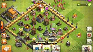 Play video: Geiole sau