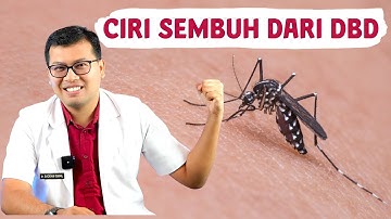 TANDA TUBUH SEMBUH DARI SAKIT DEMAM BERDARAH - DOKTER SADDAM ISMAIL