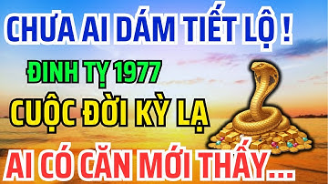 Tuổi Đinh Tỵ 1977 Là con Trời Phật, Có Phước đức Hậu Vận Rất Sướng Nhìn 9 Điểm Này Là Biết!