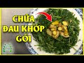 Mẹo Chữa Thoái Hóa Khớp, Đau Khớp Gối Bằng 1 Nắm Rau Mọc Đầy Quanh Nhà [chữa đau khớp gối]