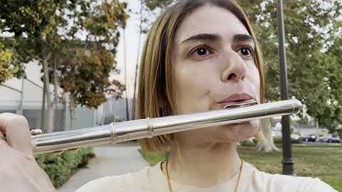 The Lentils- "pain is a macguffin" (Official Music Video)