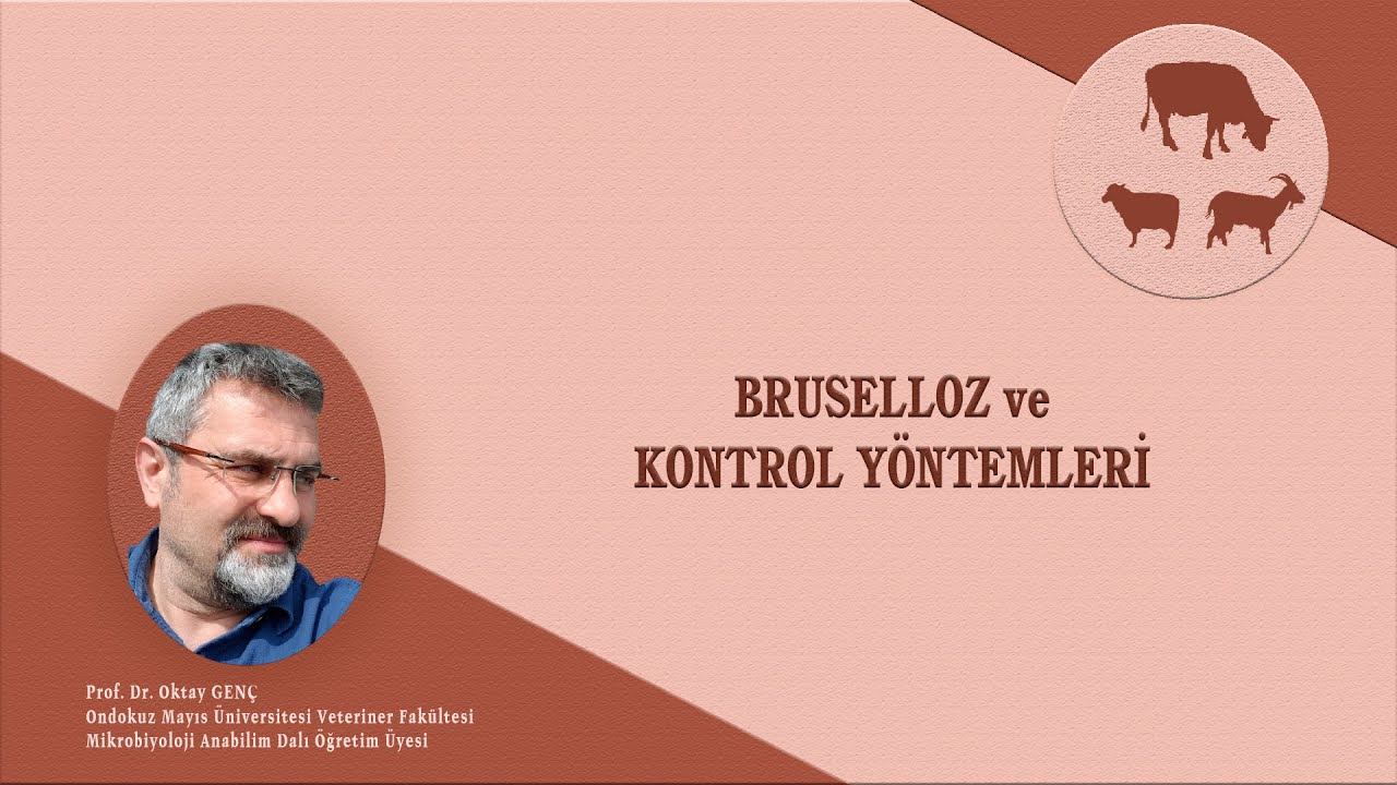 Bruselloz ve Kontrol Yöntemleri