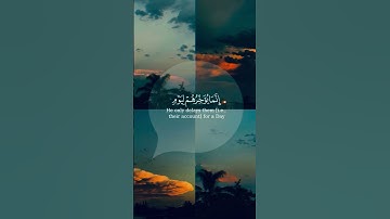 تلاوه هادئه تريح القلب/اكتب شيء تؤجر عليه 🌺