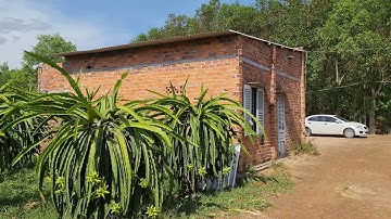 NVT1888Chỉ 1.9 tỷ/ha cho lô đất rộng tới 8.4ha xã Bông Trang, Xuyên Mộc có vườn thanh long đẹp mê ly