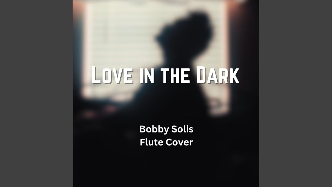 Love in the Dark (Flute Cover)
