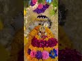 Shyam Baba Bhajan #trending #trendingshorts #viralvideo #viral #new #newmusic #newsong #bhakti #love