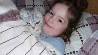Вечерние Обнимашки Кошки Хлои с Ребенком 😻 Любовь между Кошкой и Ребенком 🐱 Cat Вечерние Обнимашки Кошки Хлои с Ребенком 😻 Любовь между Кошкой и Ребенком 🐱 Cat
