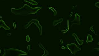 Animated Bacteria or Virus Medical Background No Copyright Footage