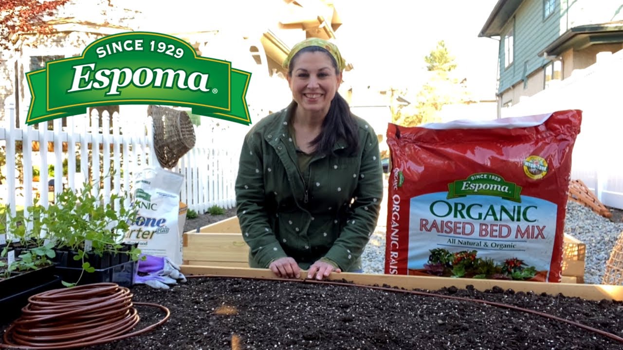 Espoma Organic Raised Bed Mix 🥕🥗 How's It Growing? YouTube