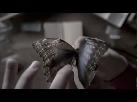 The Butterfly Room trailer