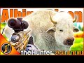 Insane Triple RARE Hunt On Silver Ridge Peaks TheHunter Call Of The Wild 