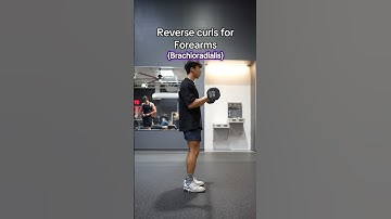 Reverse Curls vs Hammer Curls for Forearms Growth