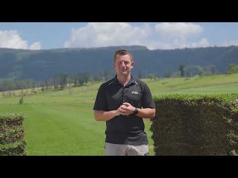 Lawn Solutions Australia Reviews