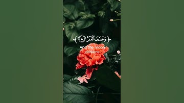 تلاوة خاشعه ياسر الدوسري #القران_الكريم