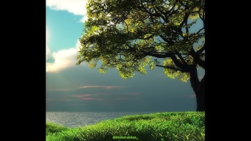 من سورة القصص - تلاوة للشيخ خالد عيشان