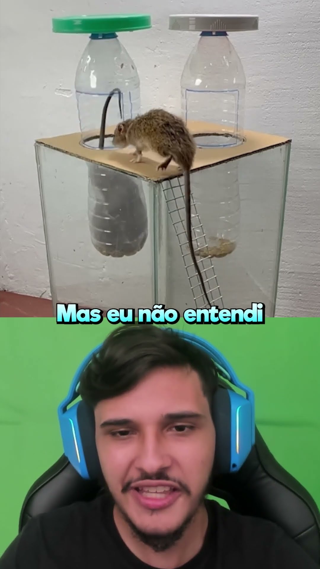 Armadilha Pra Ratos!