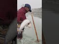 #fishhunting2 big fishing video #fishingvideo