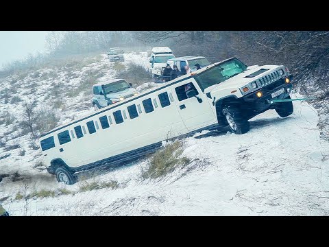 Video: Zašto limuzine umiru?