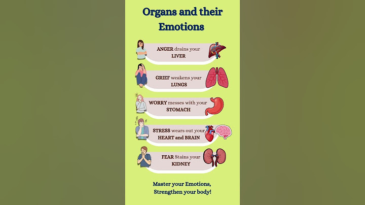 How Emotions Affect Your Organs | Mind-Body Connection Explained#shorts  #viralvideo