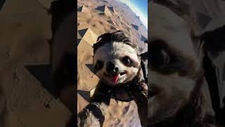 Sloth Adventure! #missionimpossible #animals #pyramid