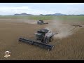 2021 Wheat Harvest near Lone Wolf Oklahoma