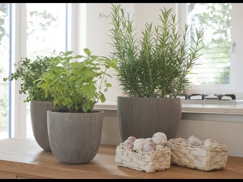 Moderne dekoration ideen Ãbertöpfe für kräuter und pflanzen küche ... Wohnzimmer grau lila weiss