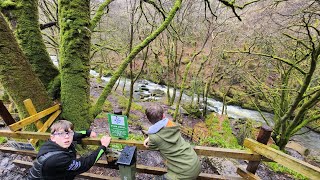 Golitha Falls SUCKS ! but there is a mine ! by 3 Kings Adventures 155 views 1 month ago 9 minutes, 12 seconds