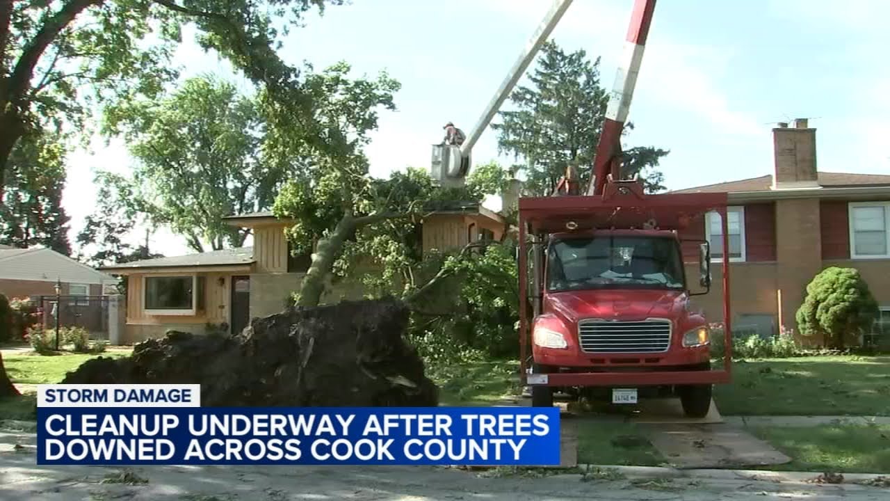 Norridge cleaning up after storm uproots trees - YouTube