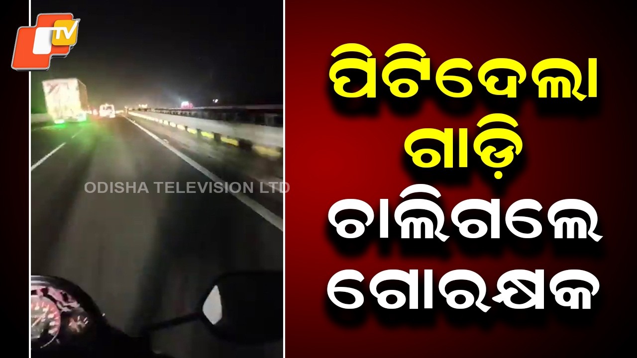 Cow Vigilante Killed, Another Critical in Hit-and-Run During Chase in Balasore