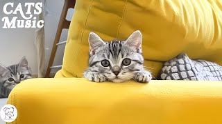 Relaxing Music for Cats TV Piano Melodies to Calm and Unstress your Cats by Peaceful Pet Piano 1,165 views 2 weeks ago 12 hours