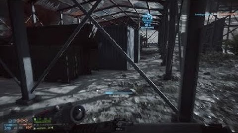 Battlefield 4 invisible after revived