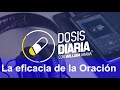 Dosis Diaria Roka - La eficacia de la Oración