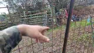 Se Resistencia El Agua