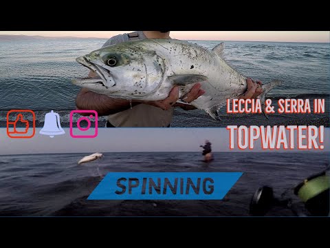 LECCIA AMIA e SERRA in agguato nella corrente! Spinning TOPWATER - clipangler